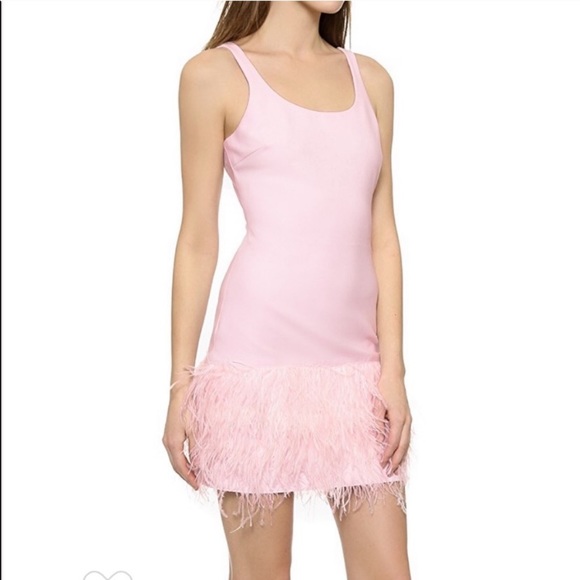 Elizabeth and James New India Feather Dress - Picture 3 of 7